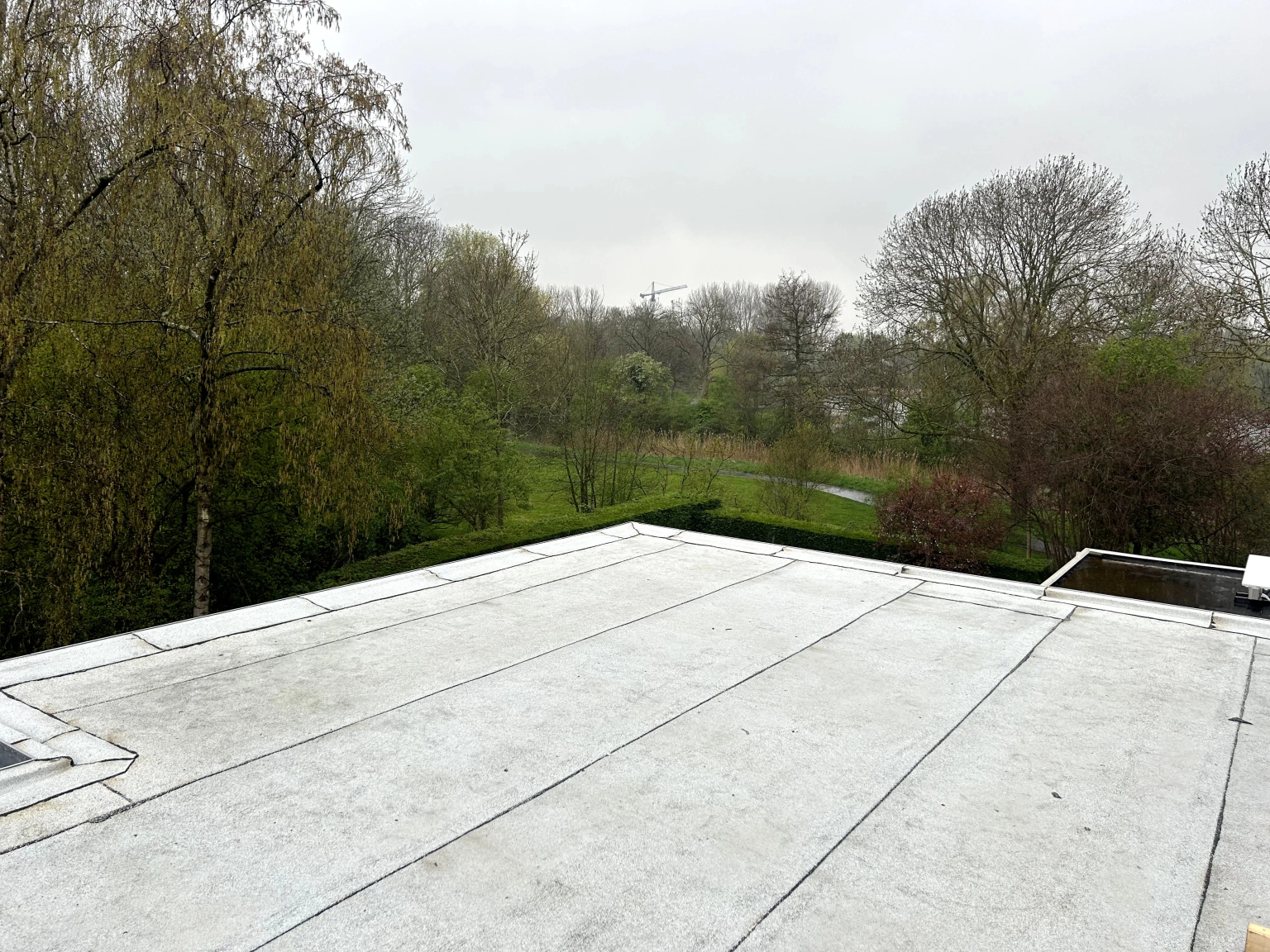 Witte Dakbedekking