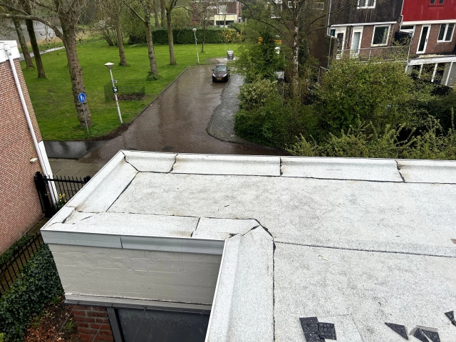 toekomst